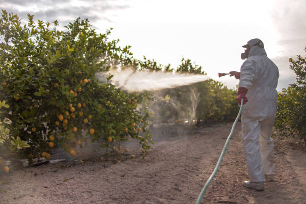 Best Residential Pest Control  in Long Grove, IA