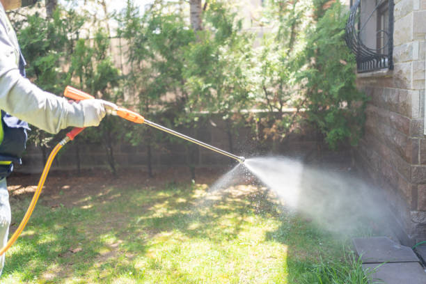 Reliable Long Grove, IA Pest Control Solutions