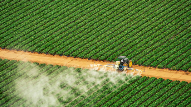 Best Pest Prevention Services  in Long Grove, IA
